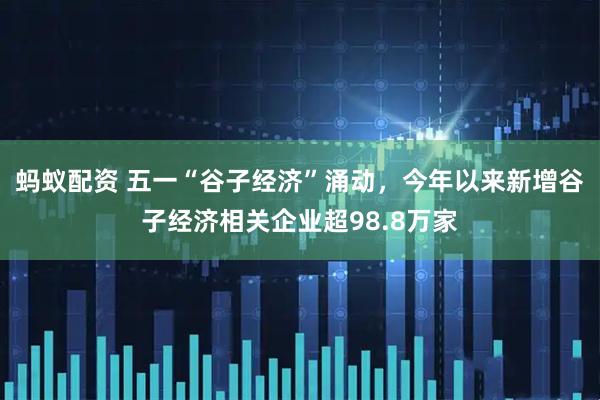 蚂蚁配资 五一“谷子经济”涌动，今年以来新增谷子经济相关企业超98.8万家